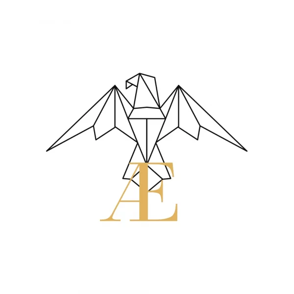 logo Vaelya noir et or sur fond blanc