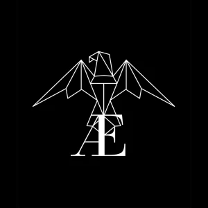 logo Vaelya blanc sur fond noir