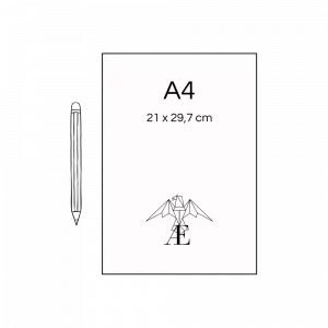 dimensions flyer A4