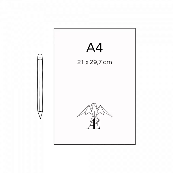 dimensions flyer A4