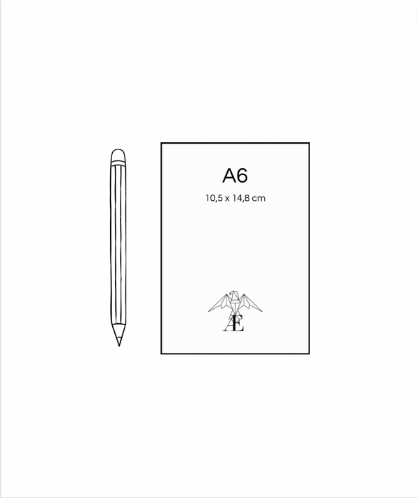 dimensions flyer A6