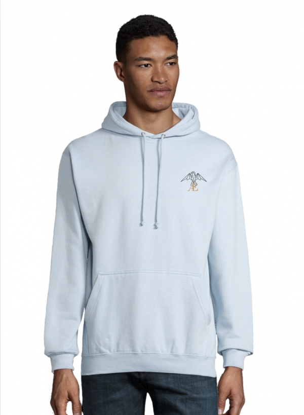 sweat-shirt bleu homme avec logo vaelya